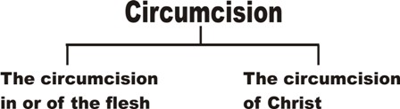 circumcision